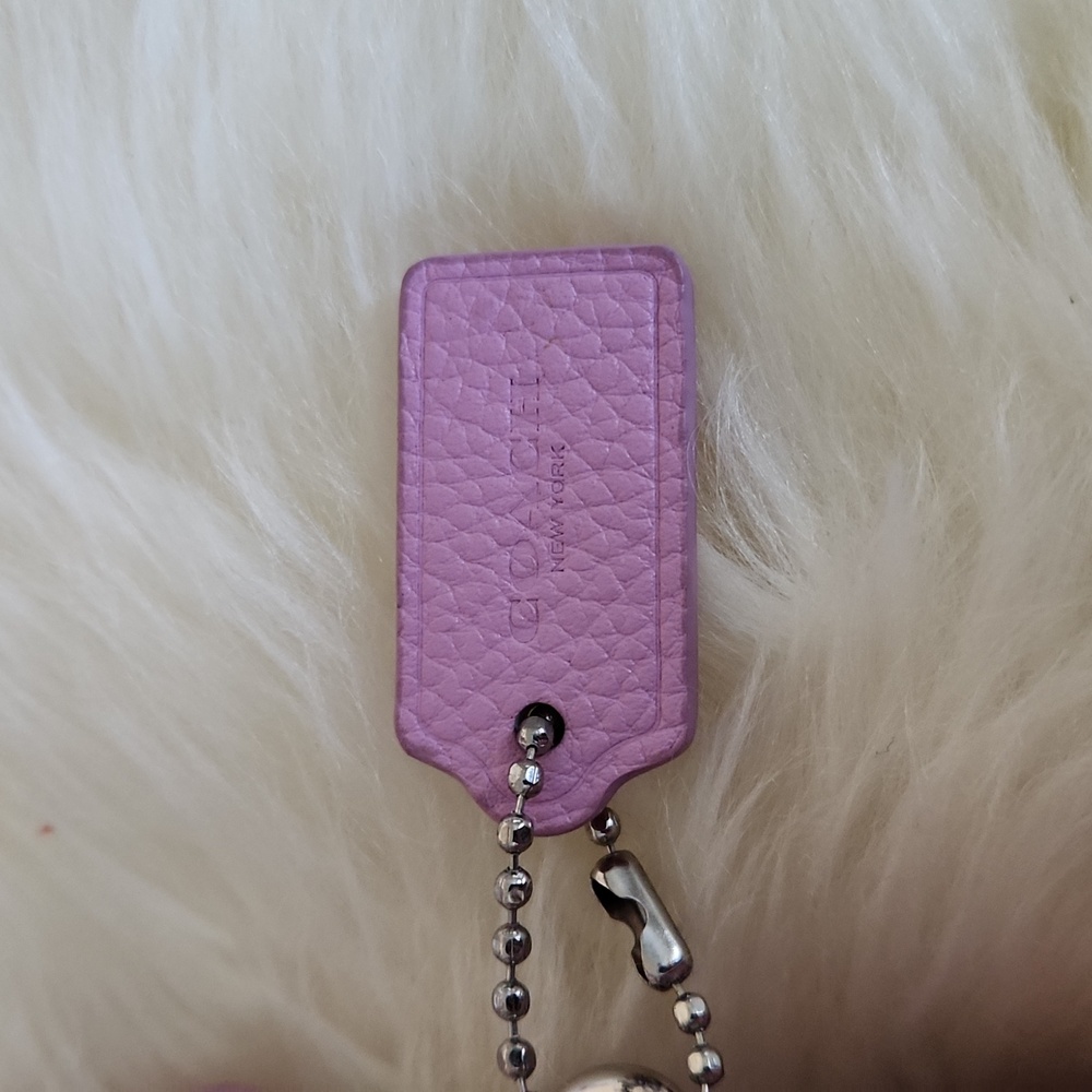 Adorable Coach Pink Leather Double Zippered Mini Camera Crossbody Bag 🩷🌸🩶 - Picture 3 of 16